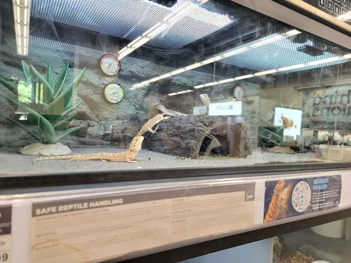Petco Picture 4