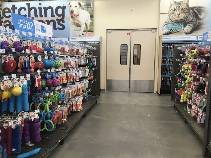 Petco Picture 8
