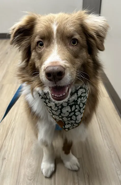 Rox Falls Vet Picture 3