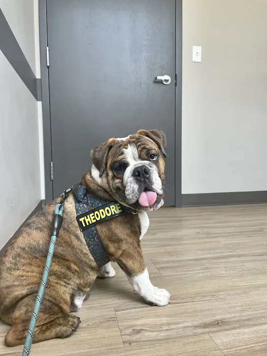 Rox Falls Vet Picture 6
