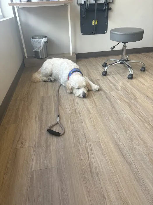 Rox Falls Vet Picture 7