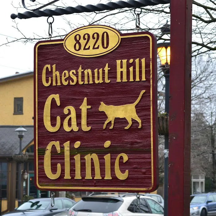 Chestnut Hill Cat Clinic Picture 8