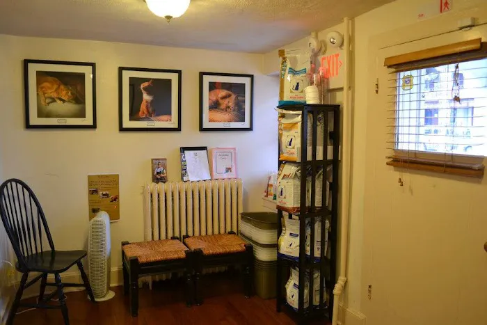 Chestnut Hill Cat Clinic Picture 3