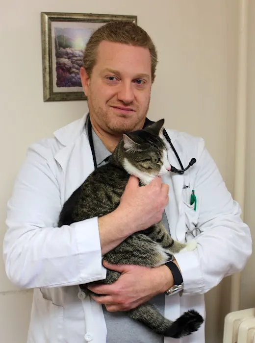 Chestnut Hill Cat Clinic Picture 10