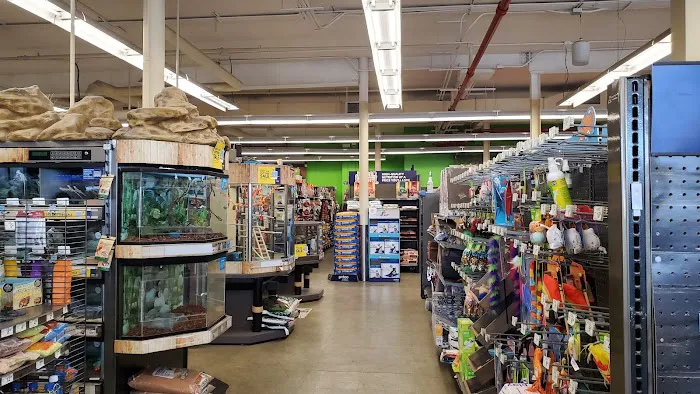 Petco Picture 2