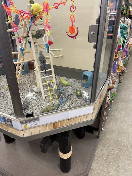 Petco Picture 1