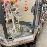 Petco