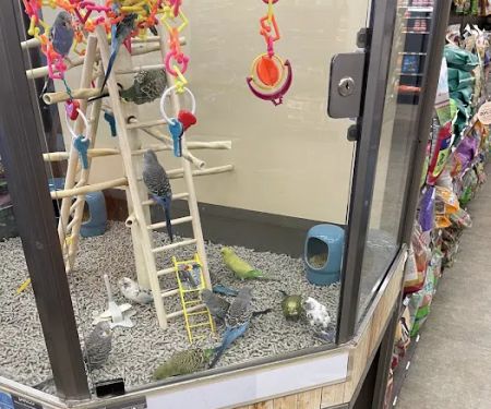 Petco