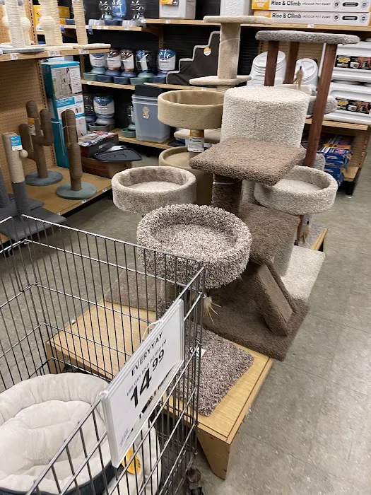 Petco Picture 8