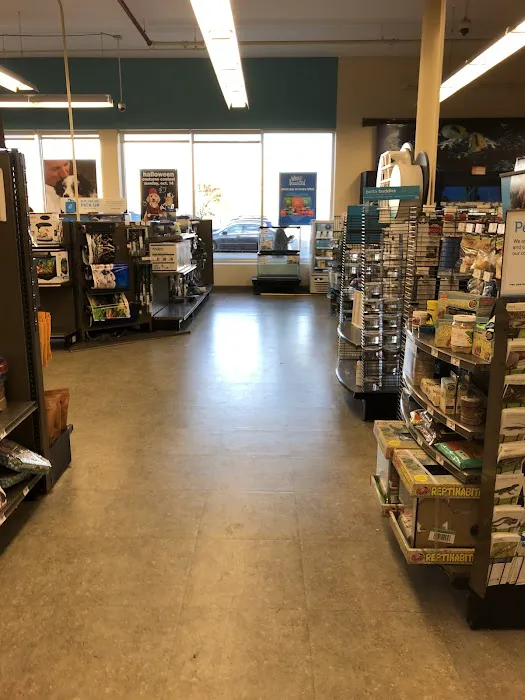 Petco Picture 5