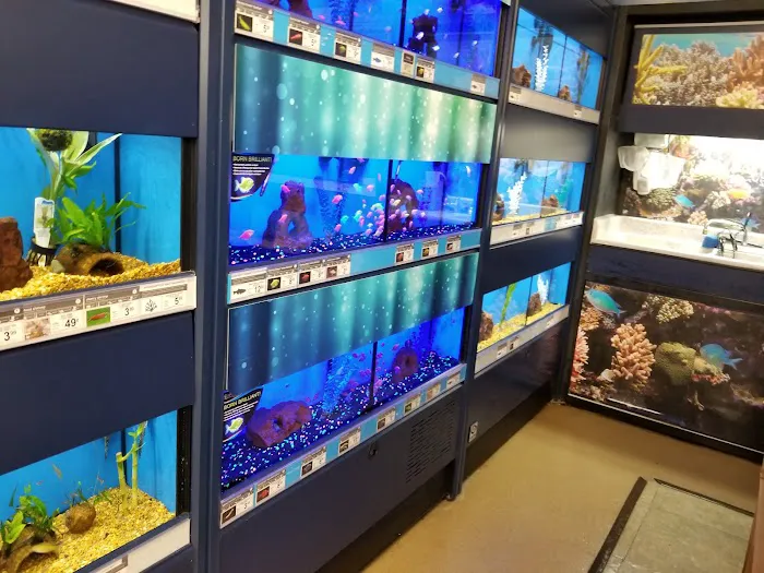 Petco Picture 9