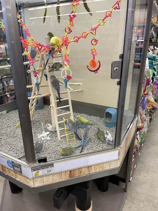 Petco Picture 7
