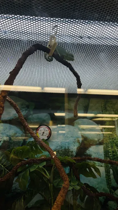Petco Picture 4