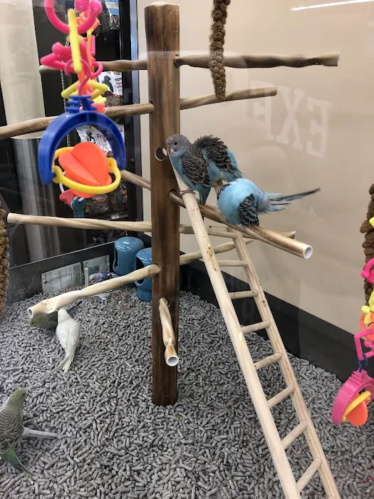 Petco Picture 6