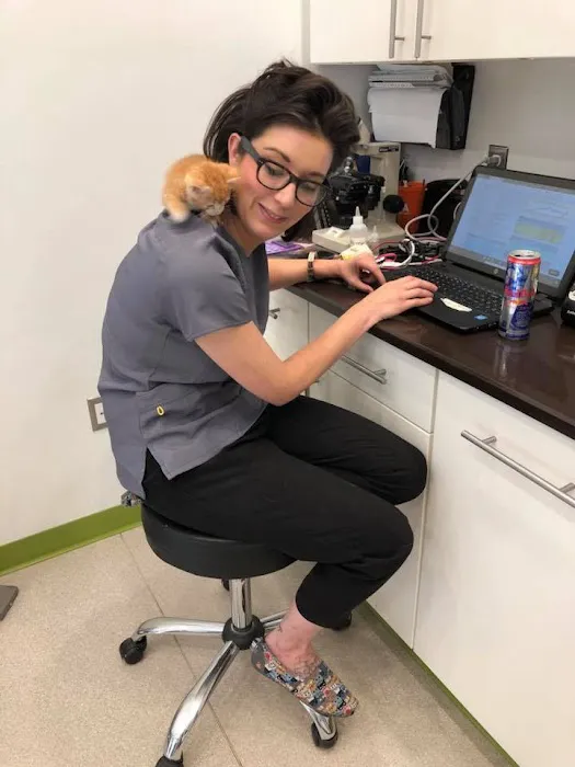 The Animedic Veterinary Hospital Picture 8