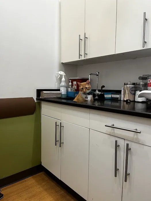 The Animedic Veterinary Hospital Picture 2