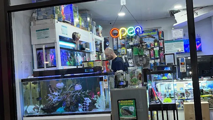 COSMO AQUARIUM Fish Store Picture 2