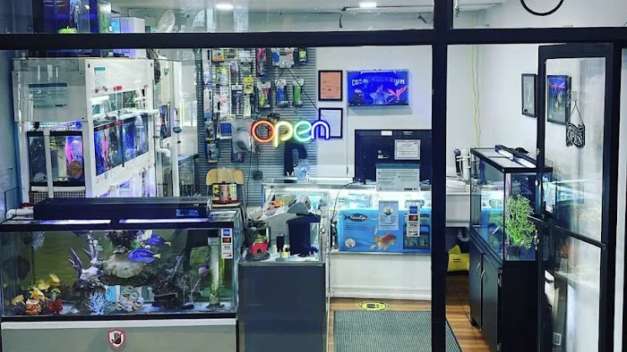 COSMO AQUARIUM Fish Store Picture 8