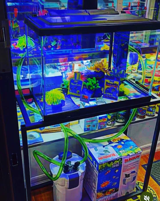 COSMO AQUARIUM Fish Store Picture 10