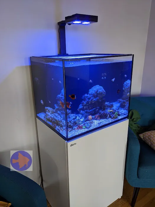 Reef Ryders Aquarium Service and Maintenance Picture 1
