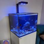 Reef Ryders Aquarium Service and Maintenance