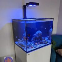 Reef Ryders Aquarium Service and Maintenance ico