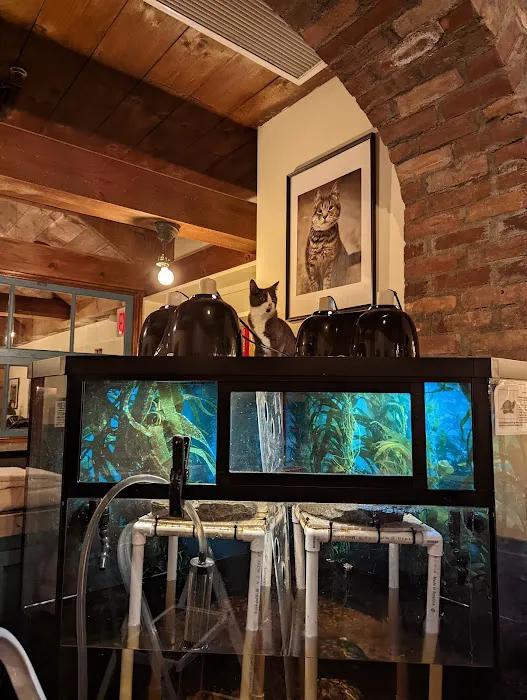 Reef Ryders Aquarium Service and Maintenance Picture 3