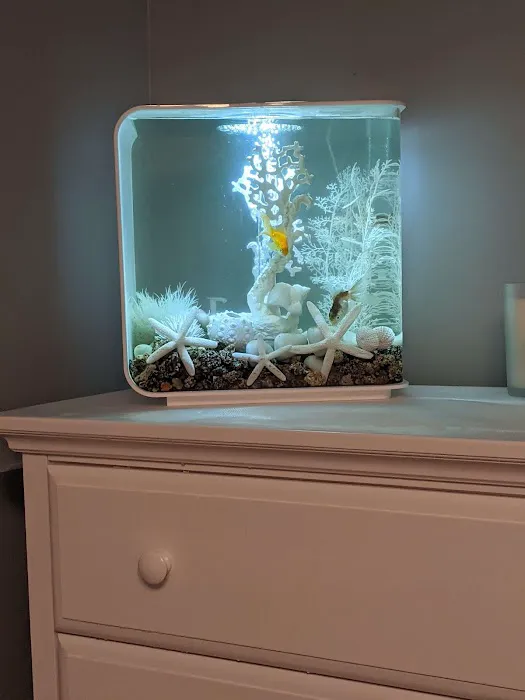 Reef Ryders Aquarium Service and Maintenance Picture 7