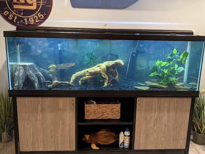 Reef Ryders Aquarium Service and Maintenance Picture 6