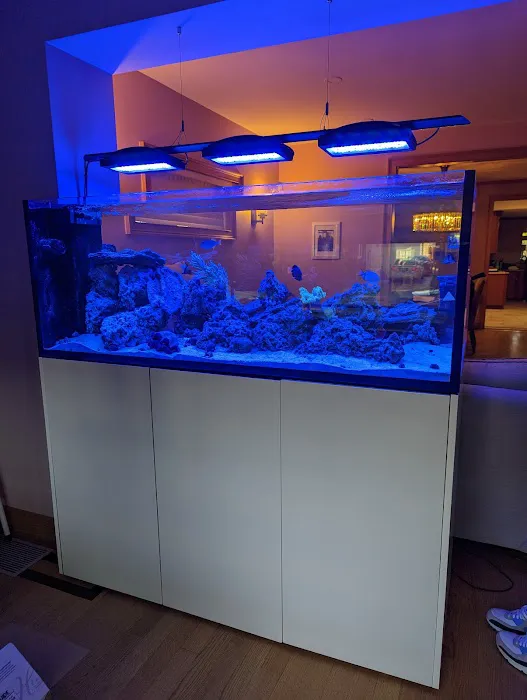 Reef Ryders Aquarium Service and Maintenance Picture 5