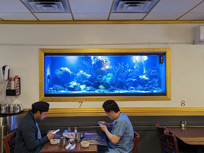 Reef Ryders Aquarium Service and Maintenance Picture 2