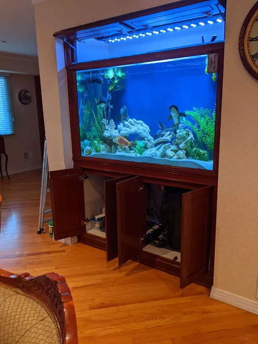Reef Ryders Aquarium Service and Maintenance Picture 10