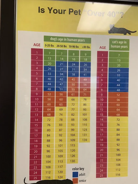 Rau Animal Hospital Picture 1