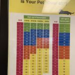 Rau Animal Hospital