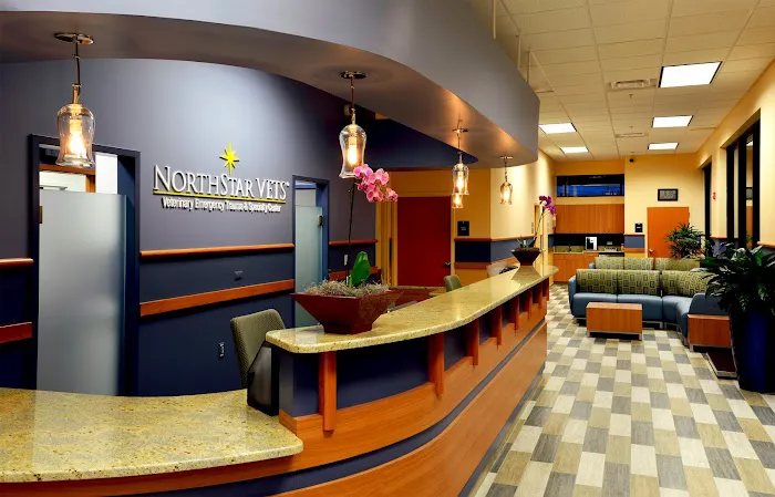 NorthStar VETS Picture 7