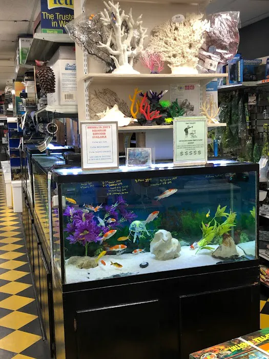 Brooklyn Zoo & Aquarium Pet Store Picture 2