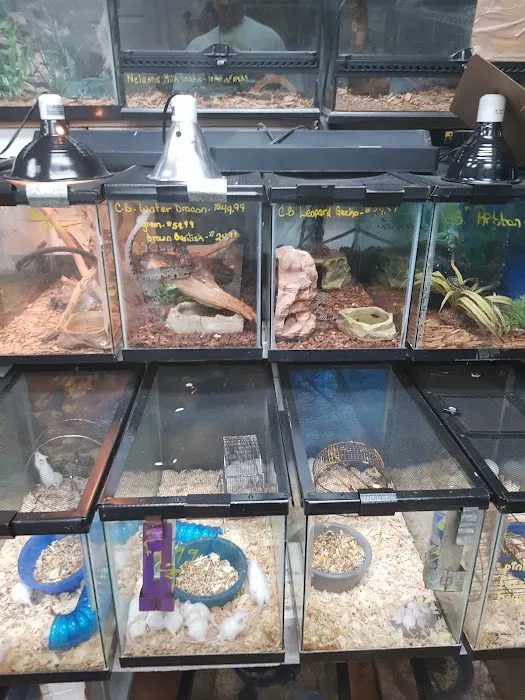 Brooklyn Zoo & Aquarium Pet Store Picture 9