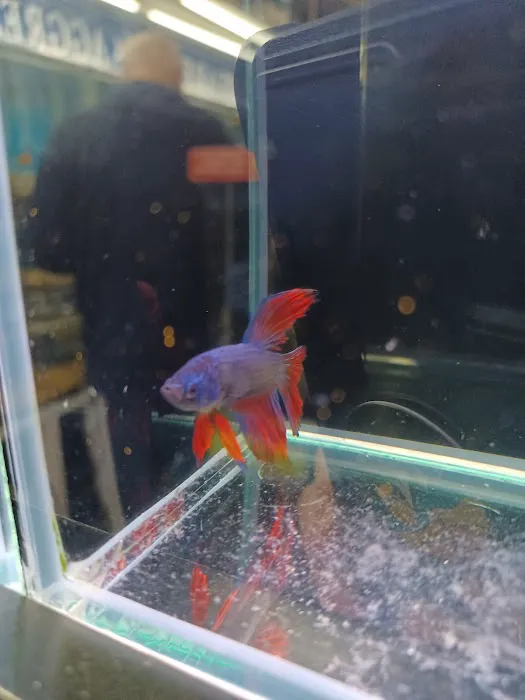 Brooklyn Zoo & Aquarium Pet Store Picture 8
