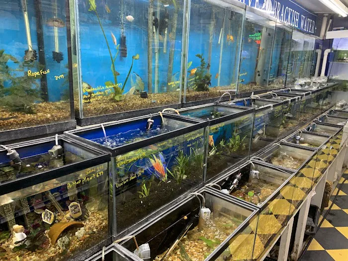 Brooklyn Zoo & Aquarium Pet Store Picture 4