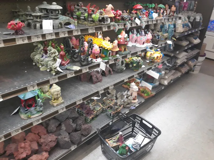 Petco Picture 8