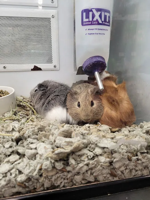 Petco Picture 5