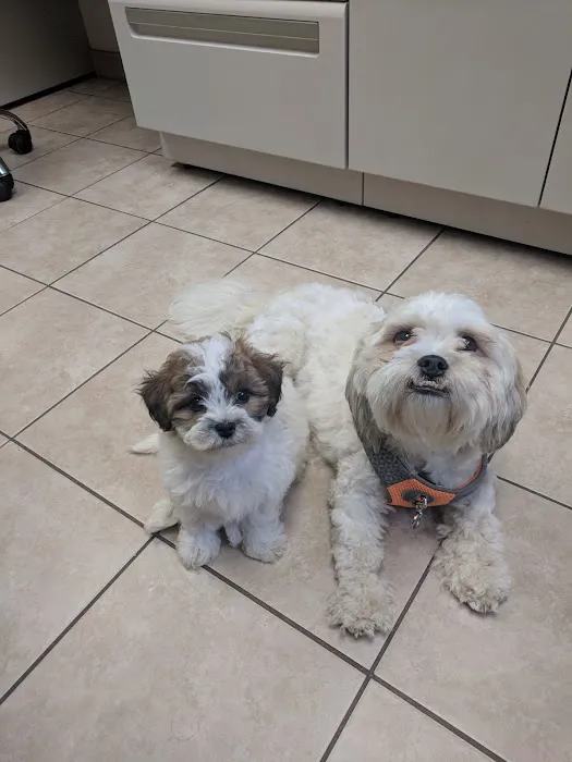 Burl-Moor-Driben Animal Hospital, LLC Picture 3