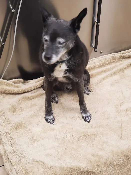 Burl-Moor-Driben Animal Hospital, LLC Picture 6