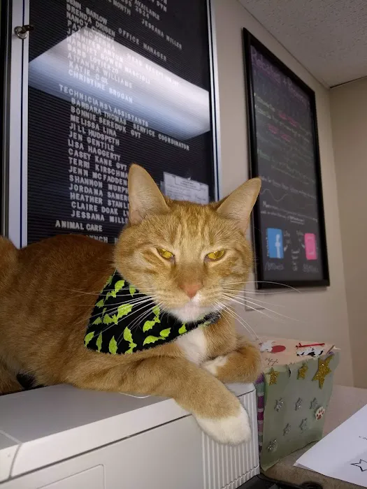 Burl-Moor-Driben Animal Hospital, LLC Picture 9