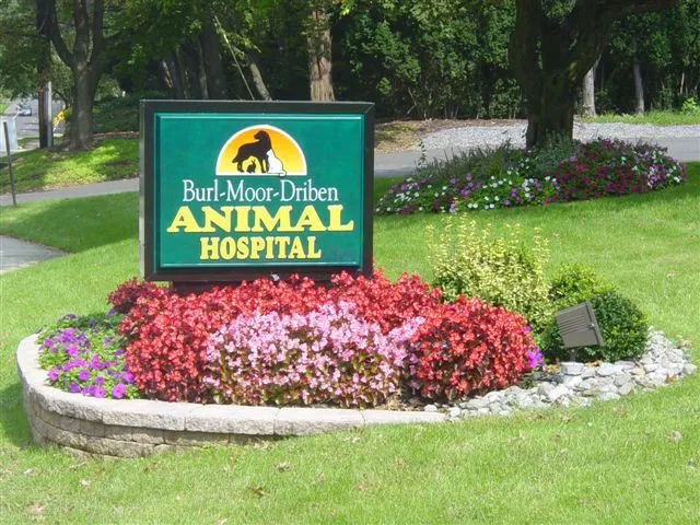 Burl-Moor-Driben Animal Hospital, LLC Picture 10