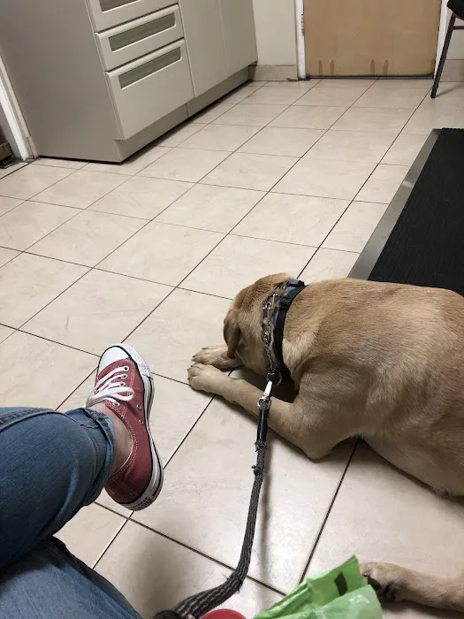 Burl-Moor-Driben Animal Hospital, LLC Picture 5