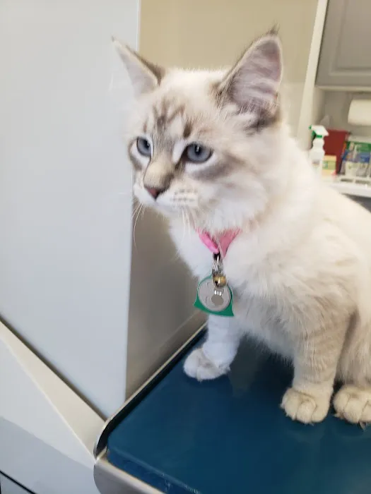 Neabore Veterinary Clinic Picture 5