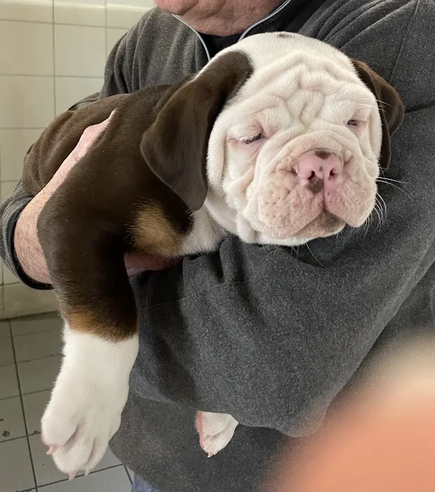 Neabore Veterinary Clinic Picture 9