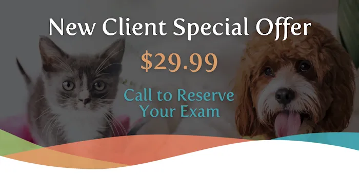 Animals First + Veterinary Hospital & Urgent Care Picture 5