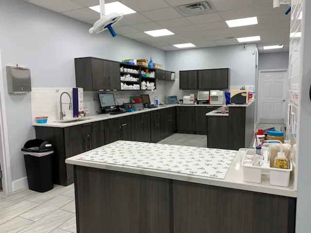 Animals First + Veterinary Hospital & Urgent Care Picture 1